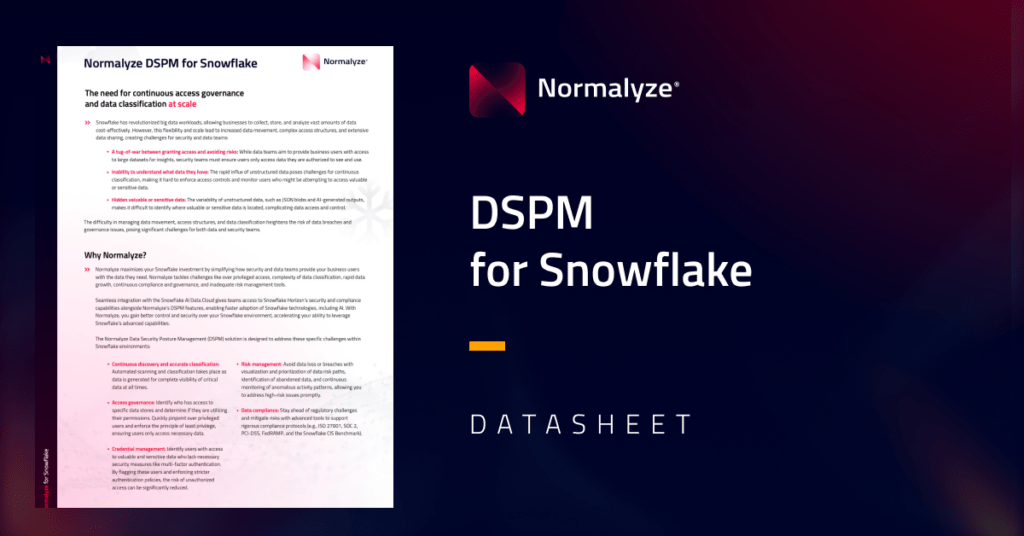 Normalyze DSPM for Snowflake