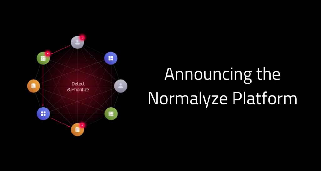 Announcing the Normalyze platform