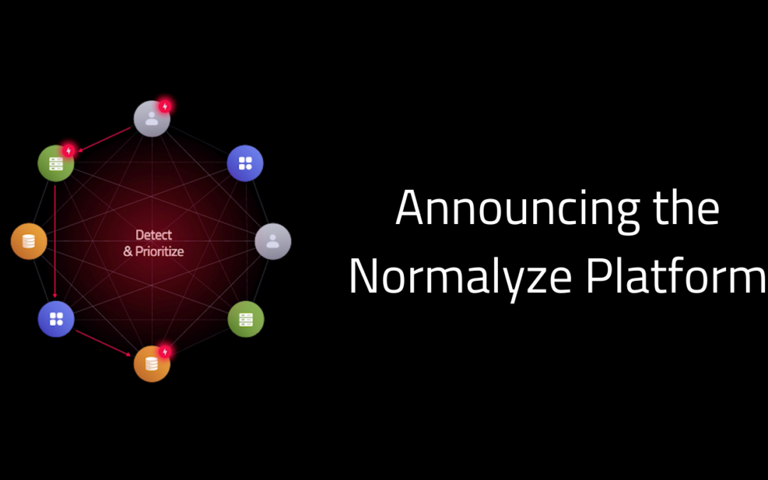 Announcing the General Availability of Normalyze Cloud Platform