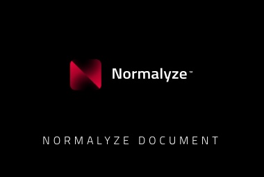 Normalyze cloud platform datasheet