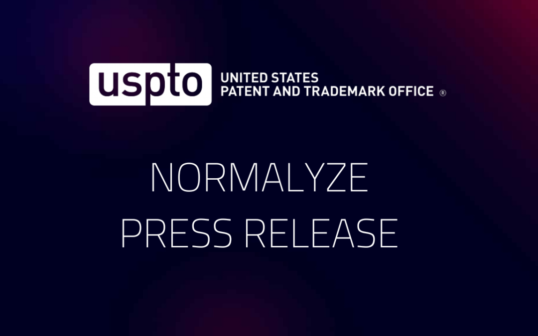 Normalyze Granted First Patent for Data Security Posture Management (DSPM)