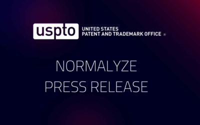 Normalyze Granted First Patent for Data Security Posture Management (DSPM)