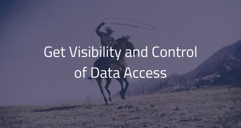Get visibility and control of data access governance