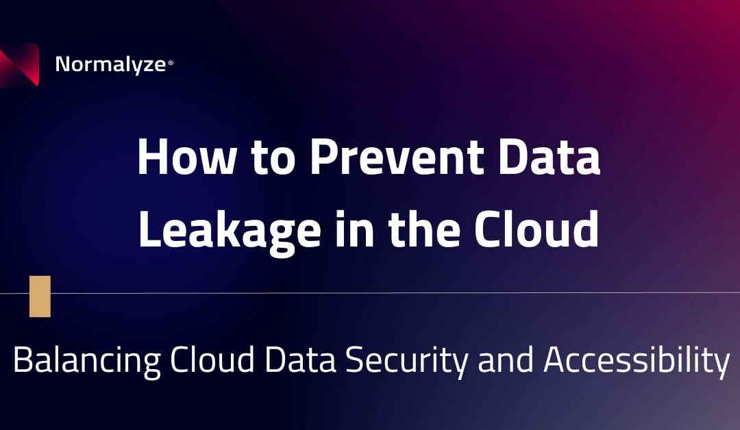 How to Prevent Data Leakage in the Cloud
