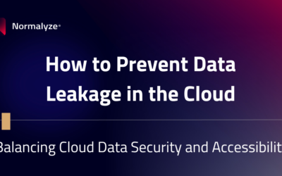 How to Prevent Data Leakage in the Cloud