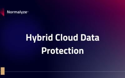 Hybrid Cloud Data Protection