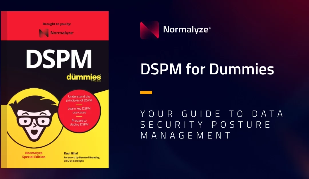 DSPM for Dummies