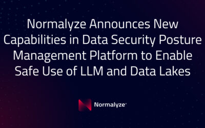 Normalyze Announces New Capabilities in Data Security Posture Management Platform to Enable Safe Use of LLM and Data Lakes