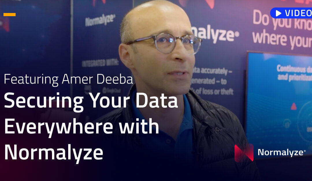 Securing Your Data Everywhere with Normalyze