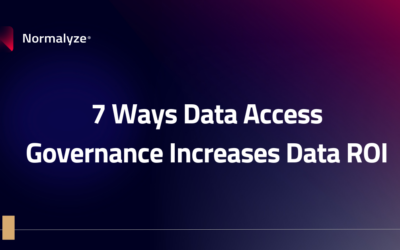 7 Ways Data Access Governance Increases Data ROI