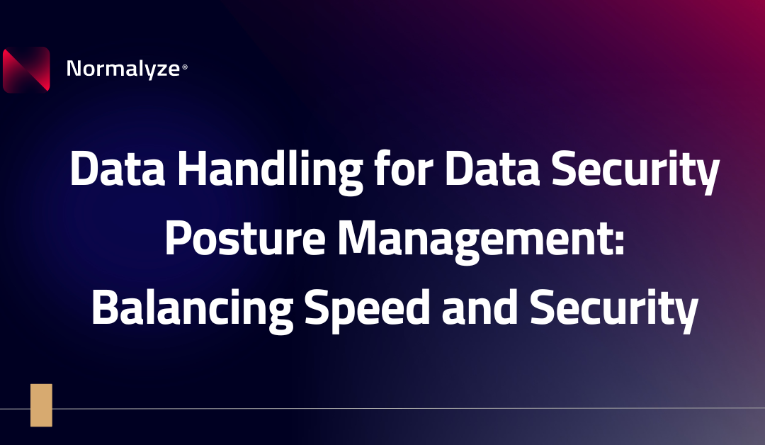 Data Handling for DSPM: Balancing Speed and Security