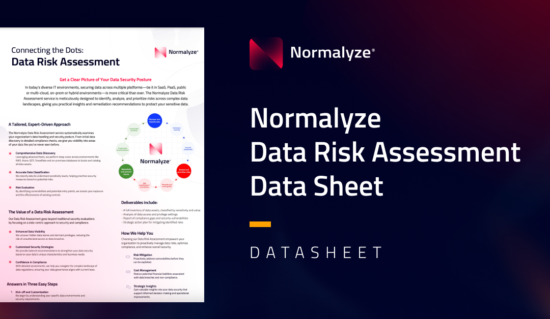 Normalyze Data Risk Assessment Datasheet